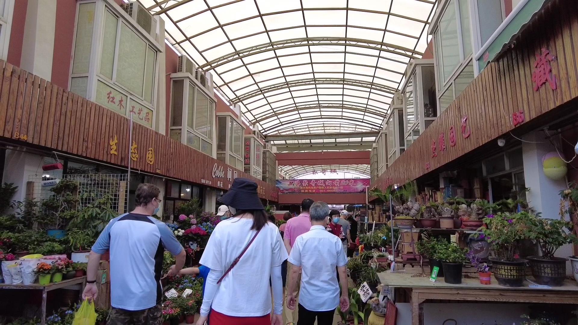 花鸟市场内部图片