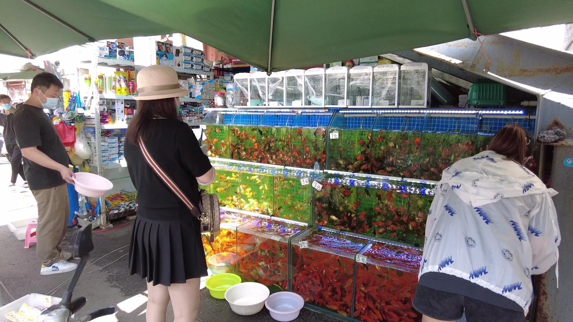 上海浦东新区金桥出口加工区的上海金桥花鸟批发市场,隶属于上海市