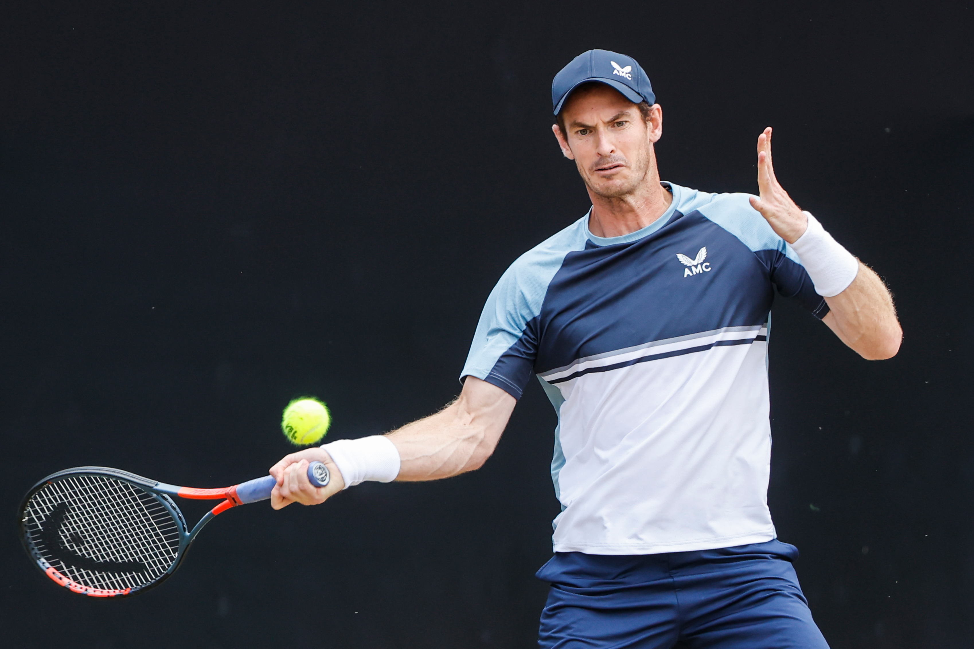 （体育）网球——斯图加特公开赛：贝雷蒂尼夺冠