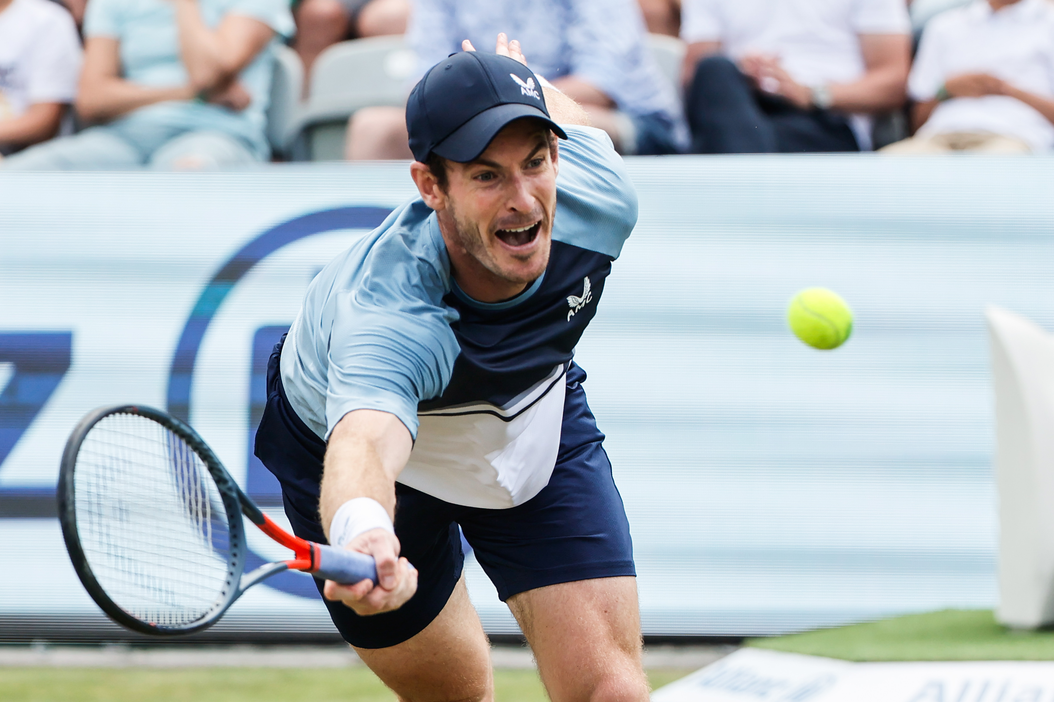 （体育）网球——斯图加特公开赛：贝雷蒂尼夺冠