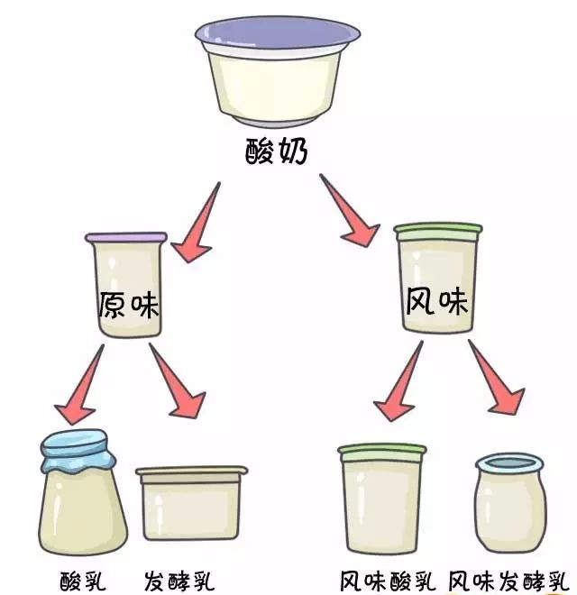 风味发酵乳的功效和作用（发酵乳和风味发酵乳的区别）