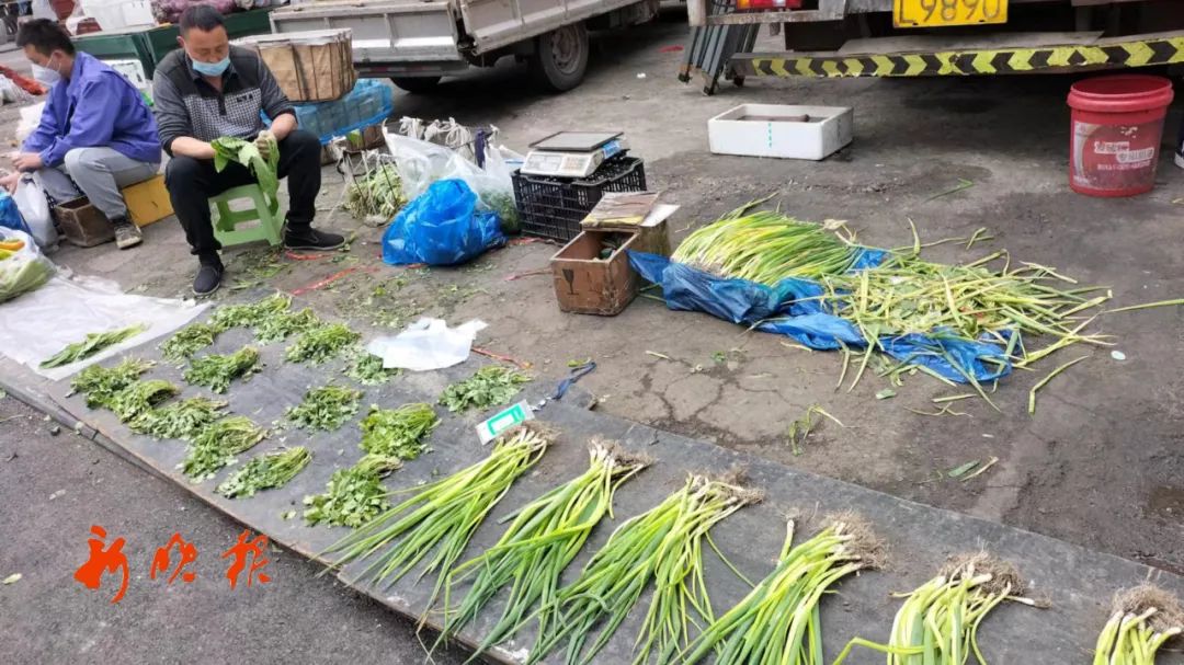 今日哈尔滨蔬菜价格，北京新发地今日蔬菜价
