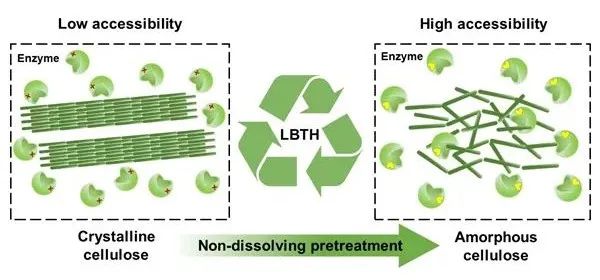 科研人员建立熔盐水合物非溶解预处理纤维素技术