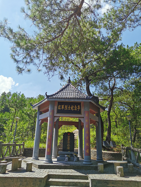 夜雨丨​宋海峰：青松承志千秋颂