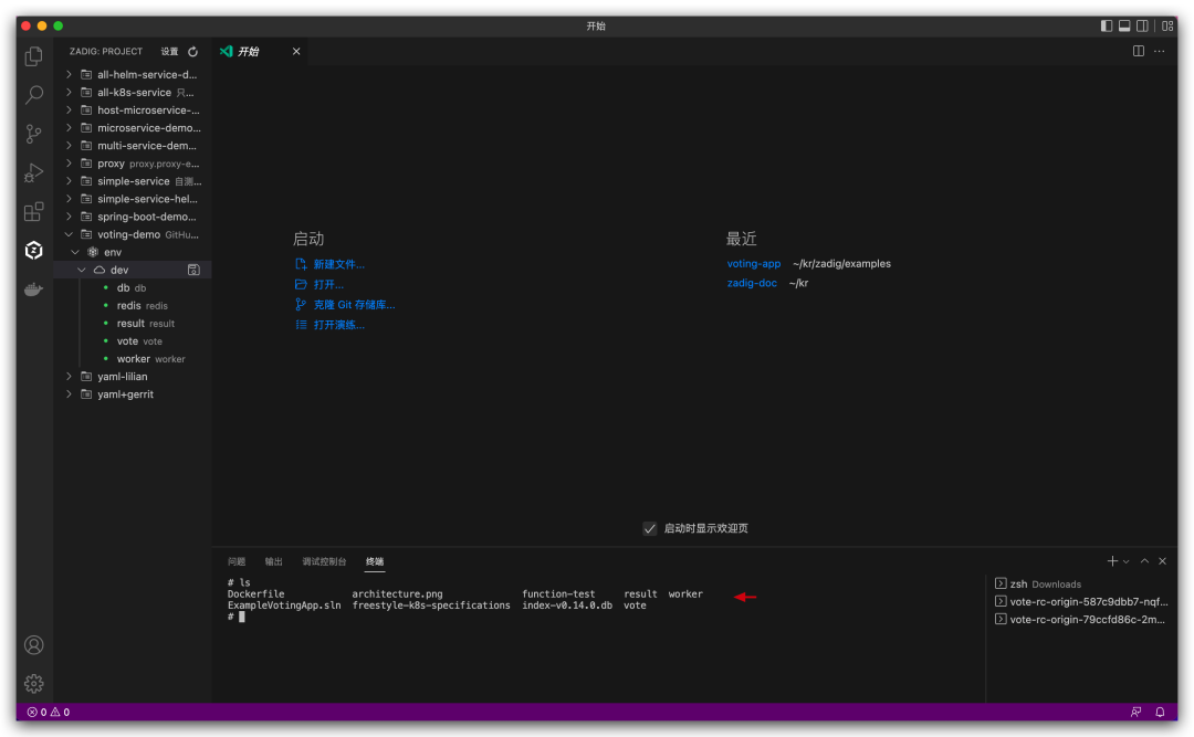 Zadig 正式推出 VS Code 插件，本地开发更高效