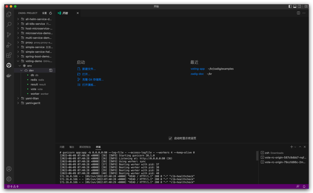 Zadig 正式推出 VS Code 插件，本地开发更高效