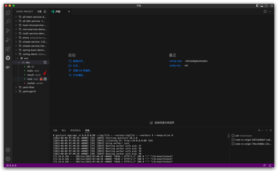Zadig 正式推出 VS Code 插件，本地开发更高效