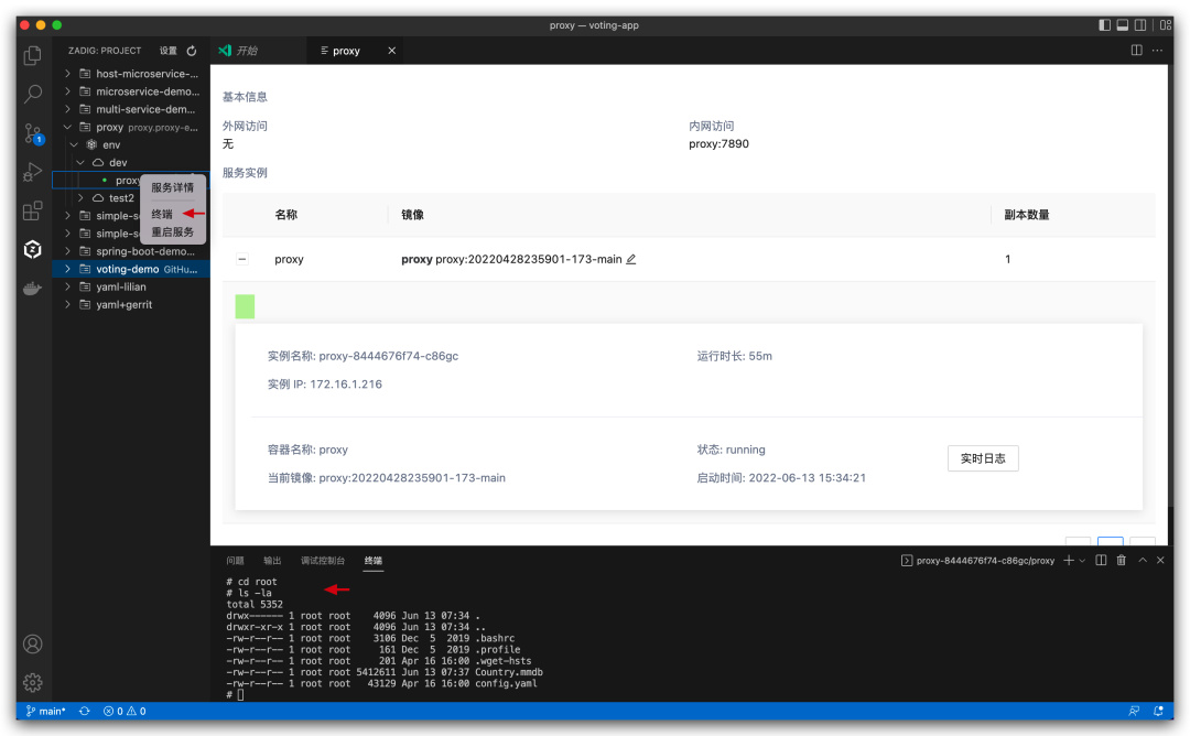 Zadig 正式推出 VS Code 插件，本地开发更高效