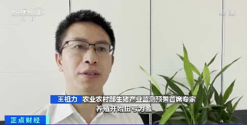 農(nóng)業(yè)農(nóng)村部：生豬養(yǎng)殖扭虧為盈，后市供應(yīng)有保障
