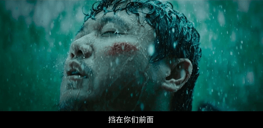 《动物世界》来袭！7月25日1905APP12部大片连播