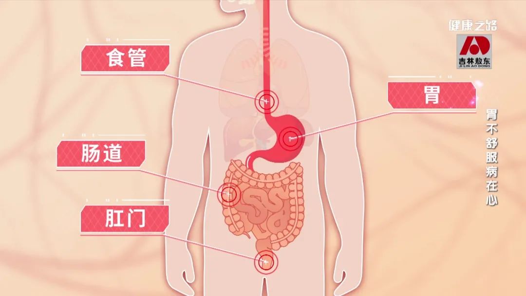 肠胃发炎用什么药（肠胃发炎用什么药小瓶）-第4张图片-科灵网