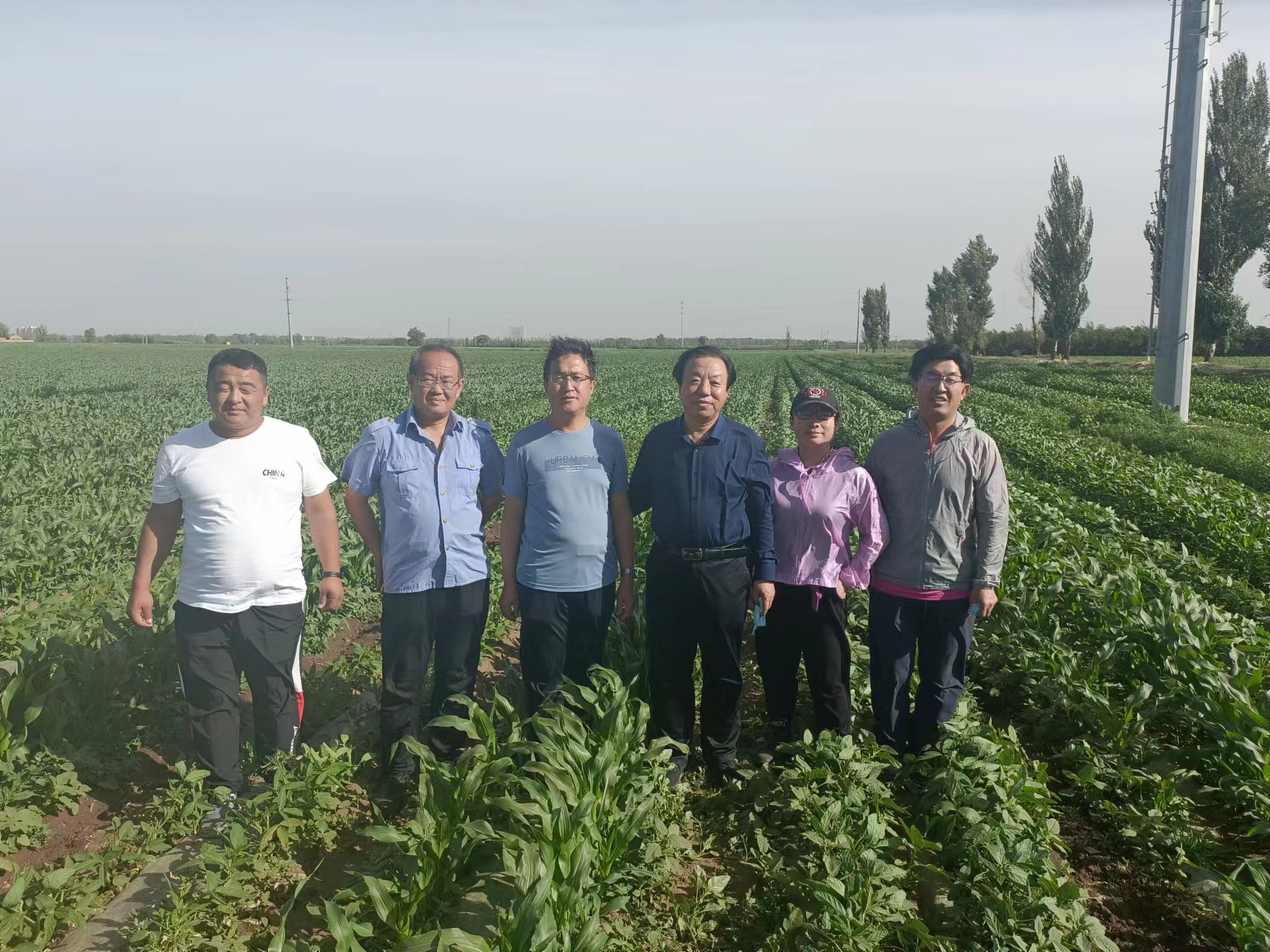 路战远研究员带队赴中西部地区调研指导大豆玉米带状种植和乡村产业发展情况