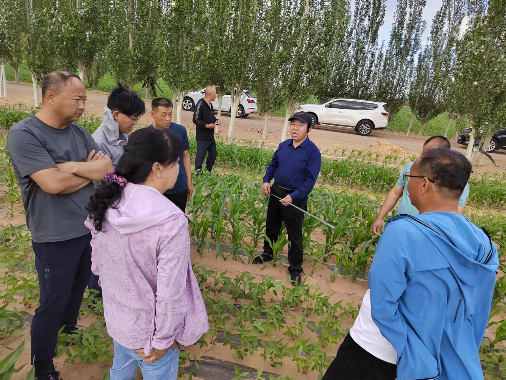 路战远研究员带队赴中西部地区调研指导大豆玉米带状种植和乡村产业发展情况