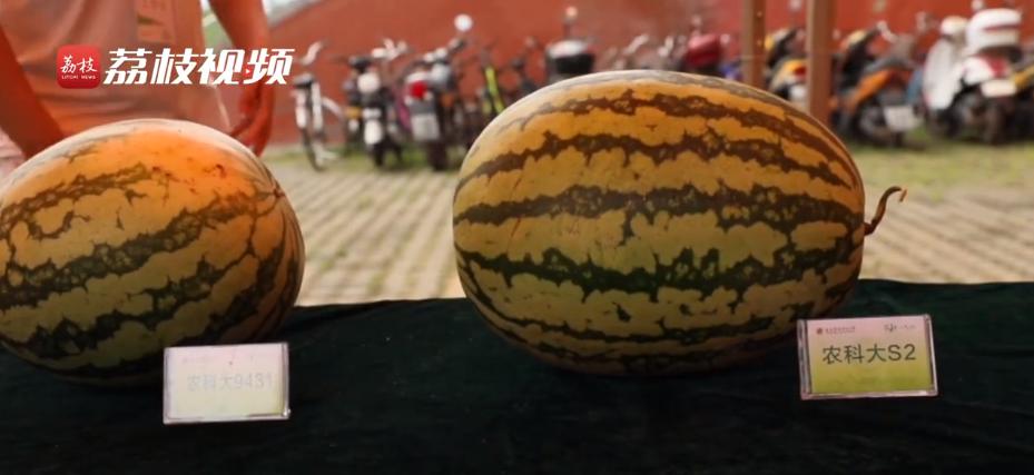 这些高校的毕业礼物，真的太暖了！看看你最喜欢哪一款？