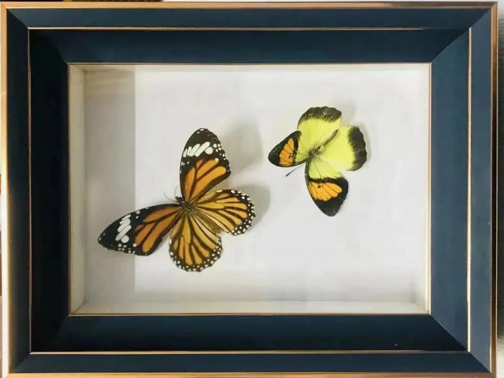 这些高校的毕业礼物，真的太暖了！看看你最喜欢哪一款？