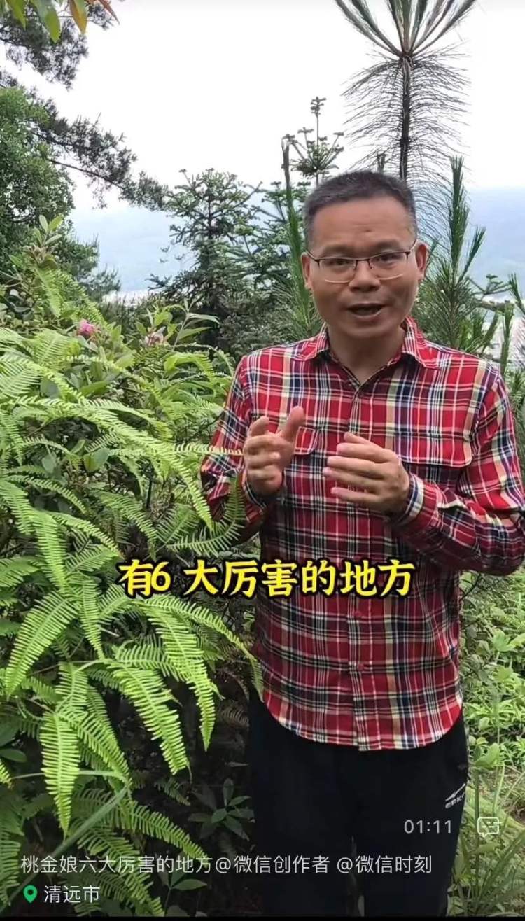 比董宇辉更土的博主，我天天刷