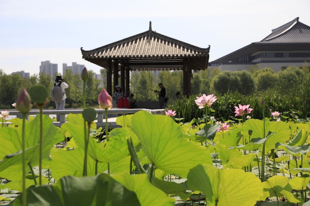 2022西安世博会(西安世博园2021春节) - 泉兴百科