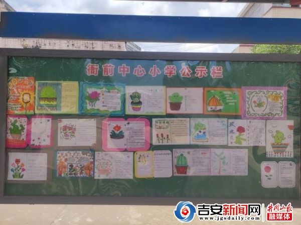 遂川县衙前中心小学“我的校园明星植物”活动(图1)