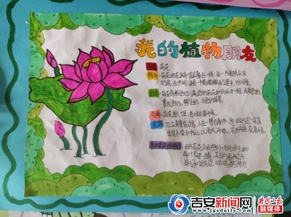 遂川县衙前中心小学“我的校园明星植物”活动(图4)