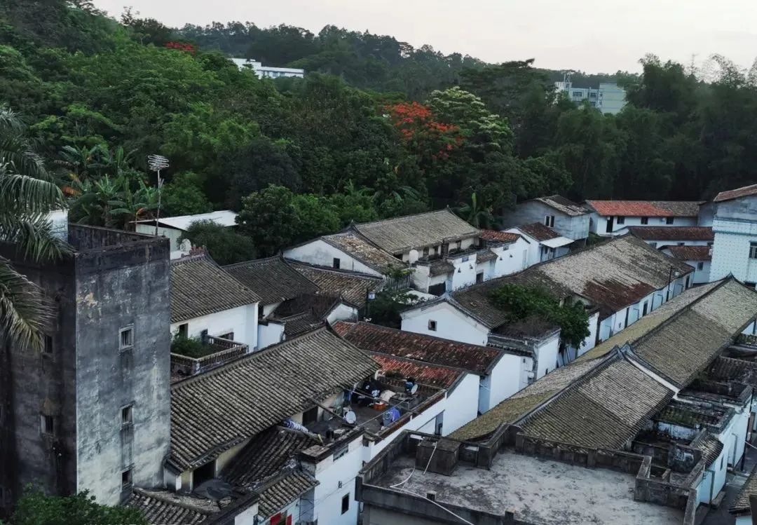 还不止这些是白石龙音乐公园里悠闲自在的露营