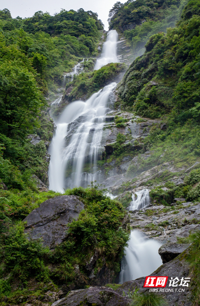 湖南第一高瀑在这里，炎陵神农谷夏日避暑好去处