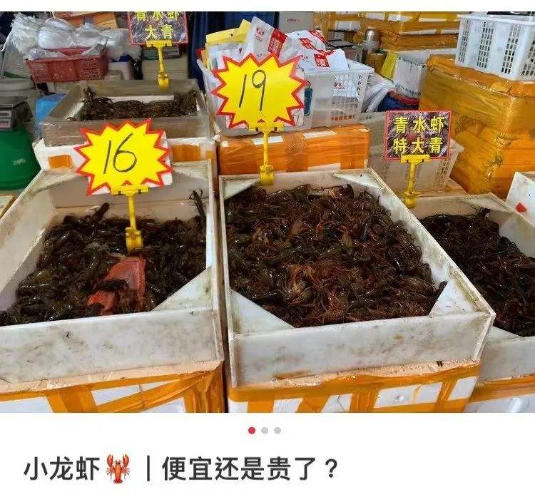 小龙虾价格最新行情今日北京（小龙虾价格网）