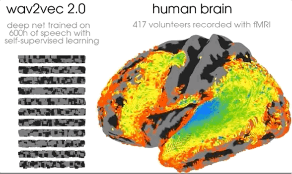 研究发现AI深度学习也有类似“前额叶皮层”，杨立昆点赞