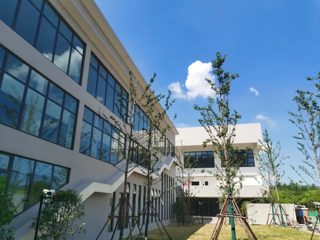 交大附中嘉定分校 邓佳敏交大附中嘉定分校-千百号