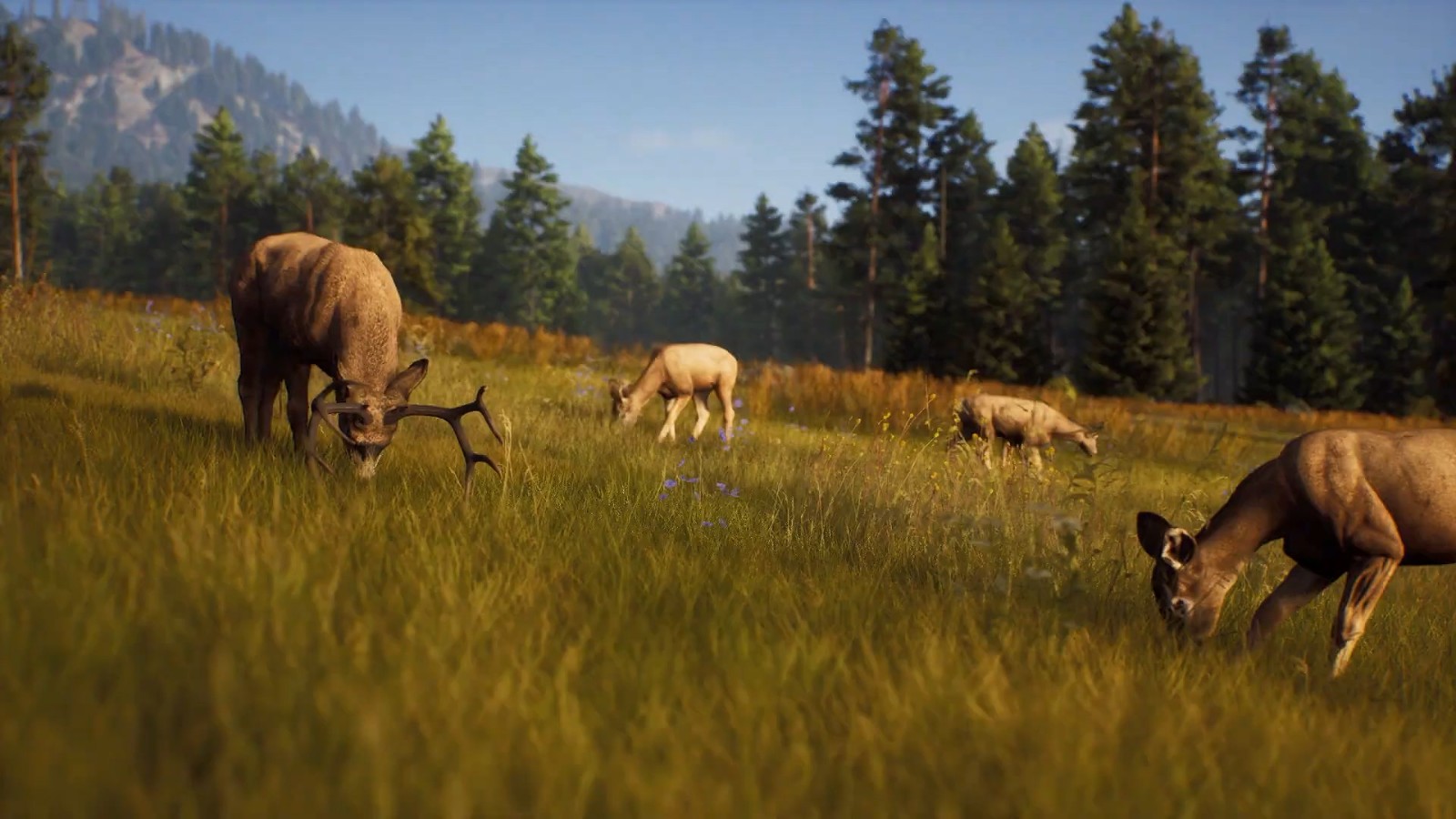 《狩猎之道》8月16日发售 体验风景如画的狩猎之旅