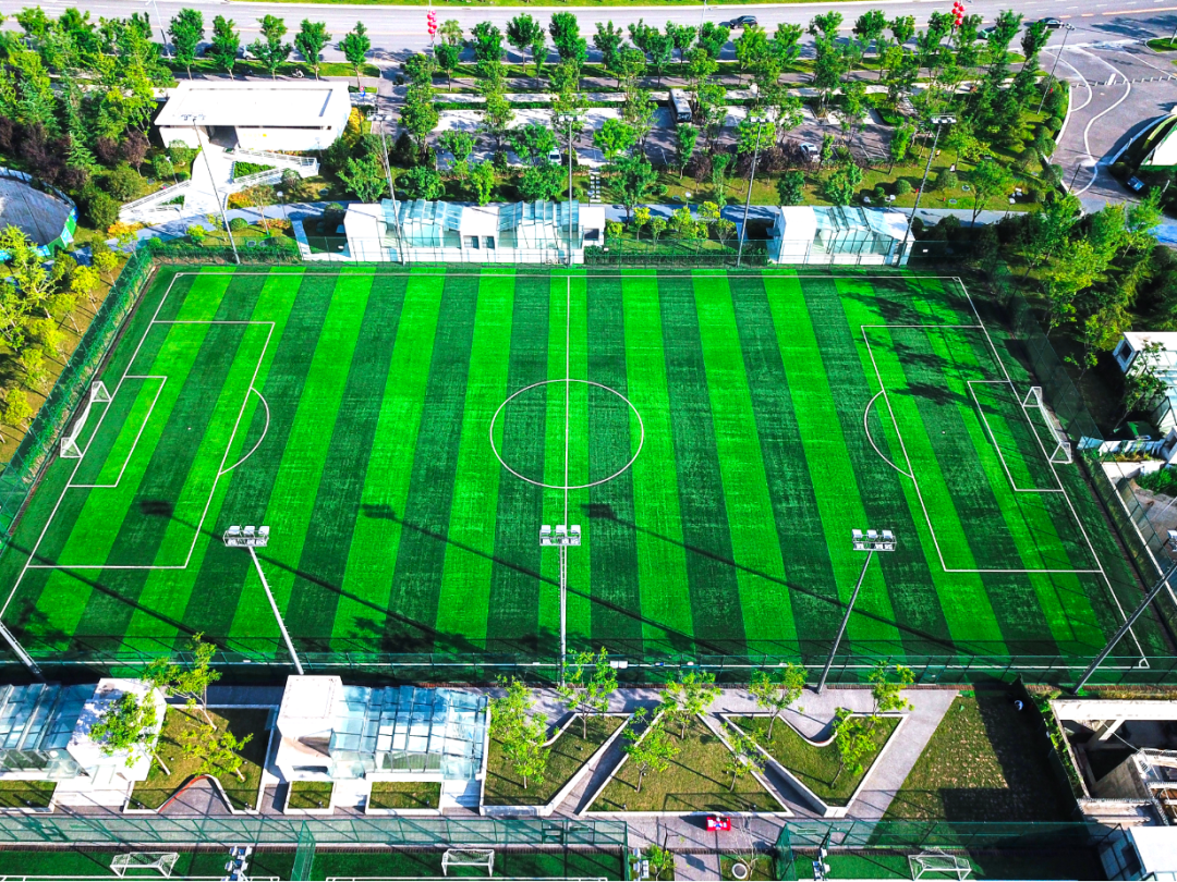 西安哪里可以看足球比赛(足球赛开赛！来曲江文化运动公园，为你的邻居加油吧！)