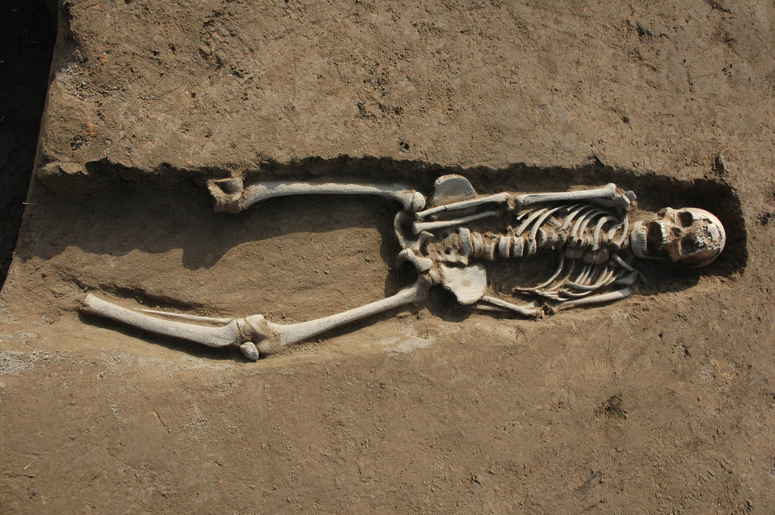 (图文互动)河南瓦店遗址发现夏代早期大型祭祀遗迹