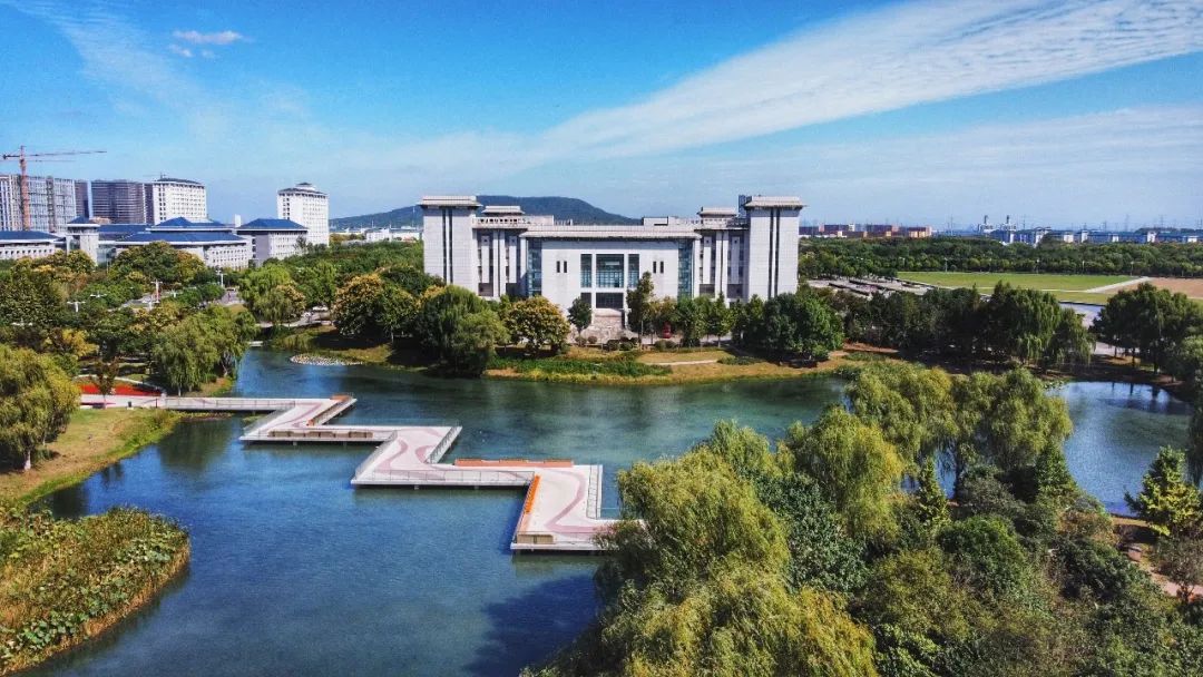 太惊喜了! - 龙井茶