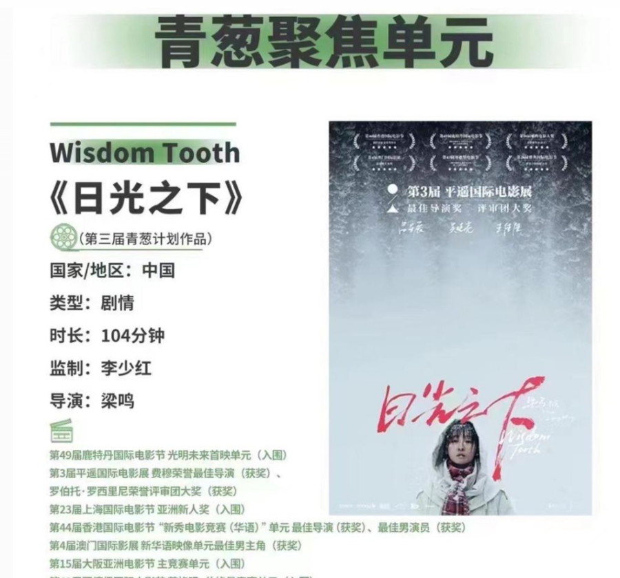 曾赠、梁鸣等新锐导演受关注，电影扶持计划真能挖出好导演