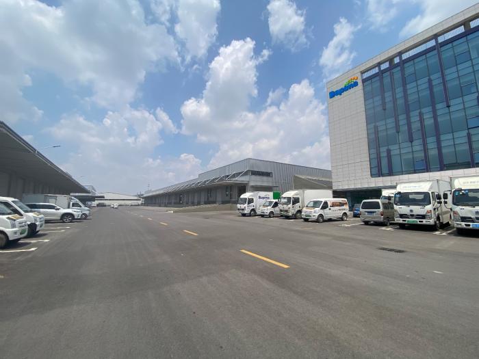 八匹马董事长张猛：一家新能源智慧供应链企业的成长进阶