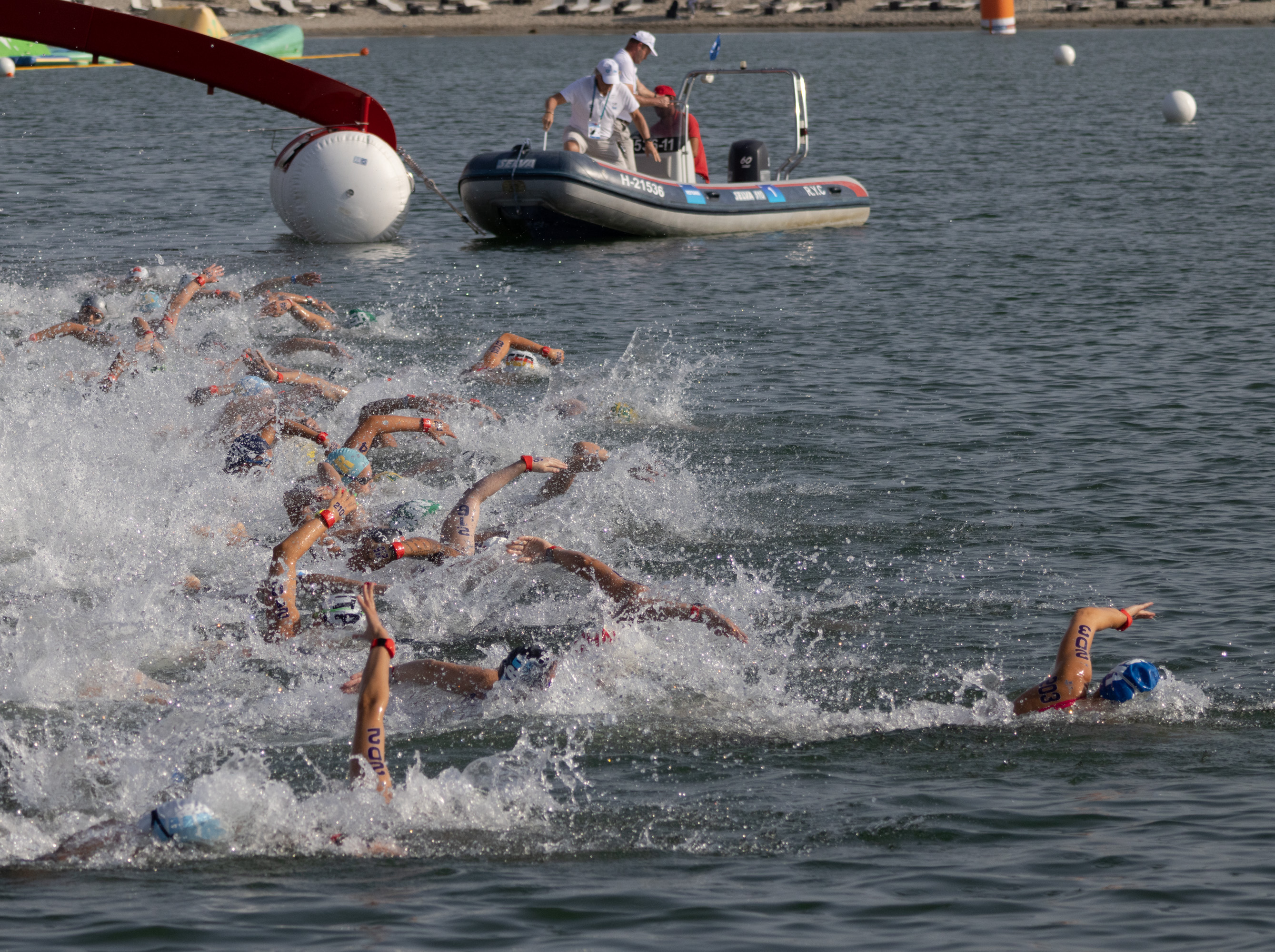 （游泳世锦赛）公开水域——女子10公里决赛赛况