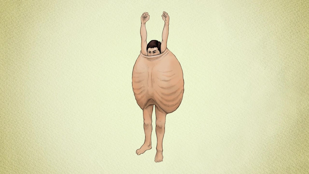 猎奇科普动画电影《跟动物交换身体》预告 10月上映