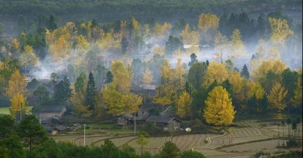 全国行程卡“摘星”，云南70余家景区等你来玩