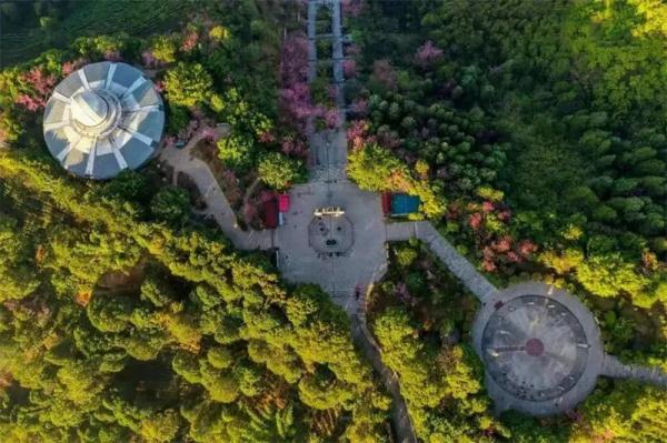 全国行程卡“摘星”，云南70余家景区等你来玩