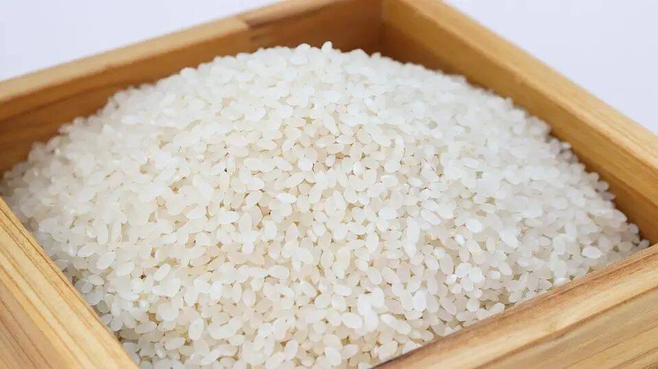 江米是什么米（小小一粒米其实里面蕴含大学问）