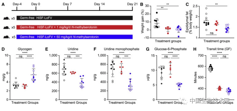 变废为宝！Cell：用肠道细菌