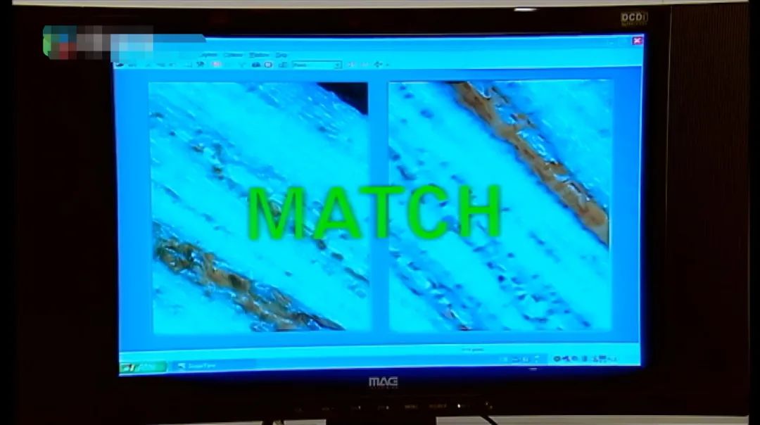 香港回归25周年｜循着经典港片，回顾科普知识