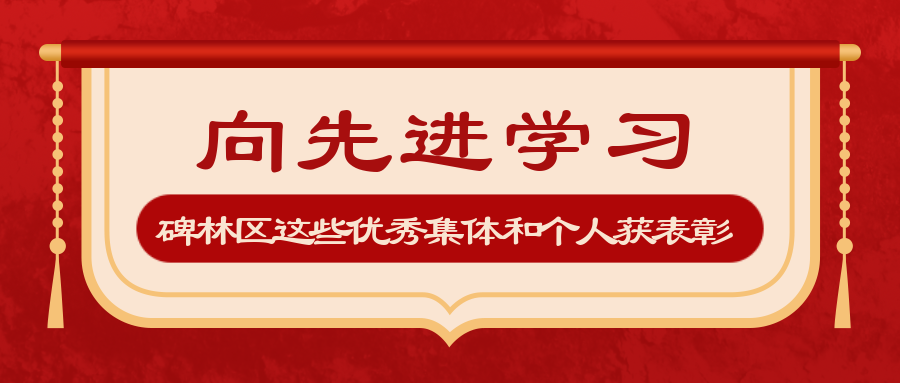 向先进学习！碑林区这些优秀集体和个人获表彰