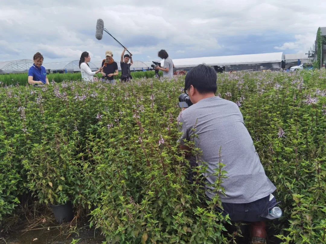 《我们会更好》：最好的心愿 要一起实现