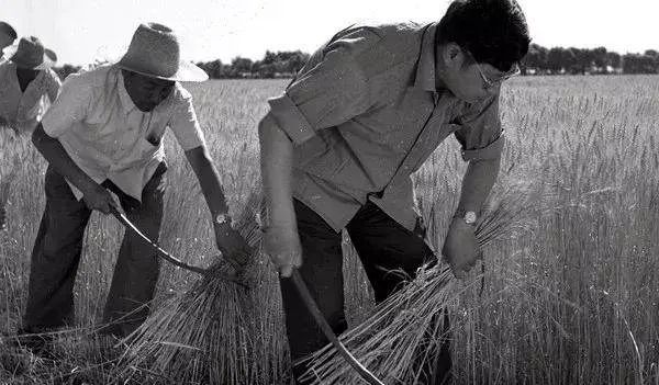 新中国第一所国立大学！