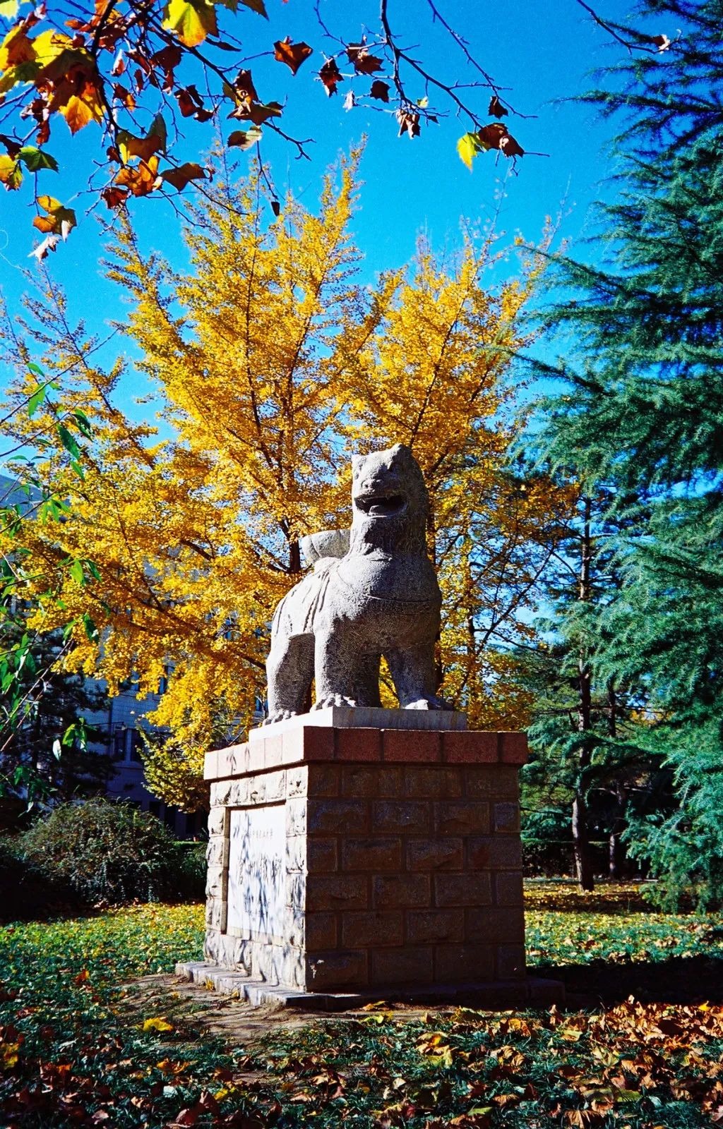 新中国第一所国立大学！