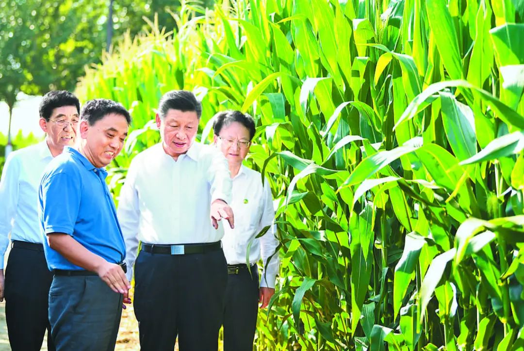 新中国第一所国立大学！