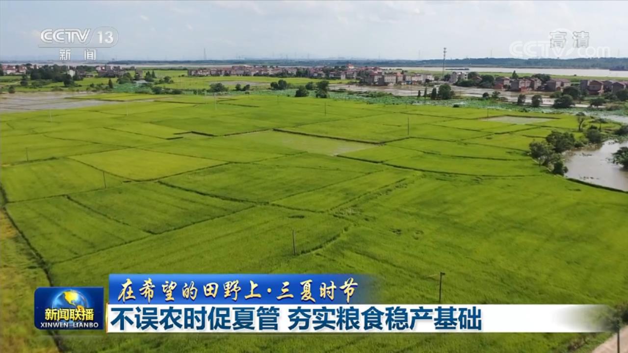 「在希望的田野上·三夏时节」不误农时促夏管夯实粮食稳产基础