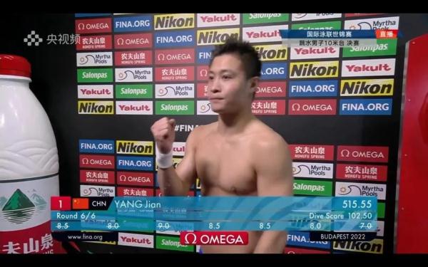 男跳水运动员(川籍选手杨健卫冕世锦赛男子10米跳台冠军)