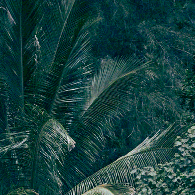 当我把自拍放进微信搜一搜后，咦？