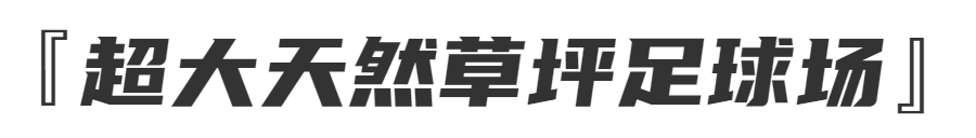 深圳cba哪里看比赛(本周免费预约！原来这才是龙华文体中心的正确打开方式→)